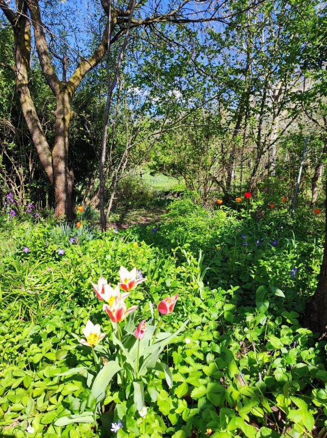 Il Giardino Del Gallo Cherasco Zewnętrze zdjęcie