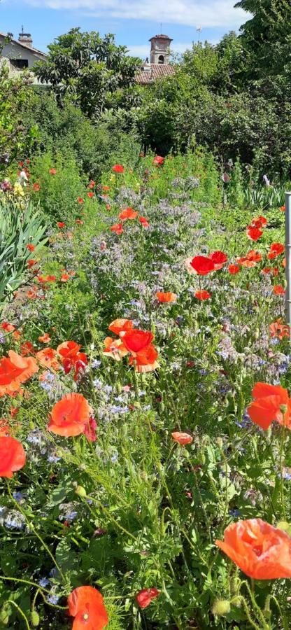 Il Giardino Del Gallo Cherasco Zewnętrze zdjęcie