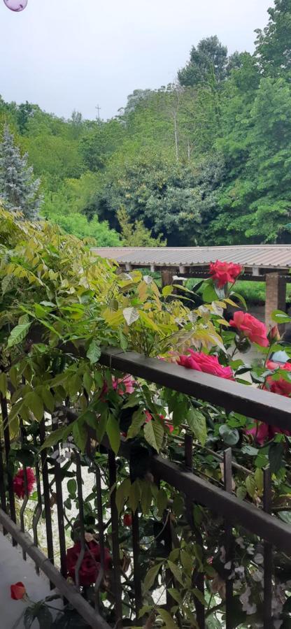 Il Giardino Del Gallo Cherasco Zewnętrze zdjęcie