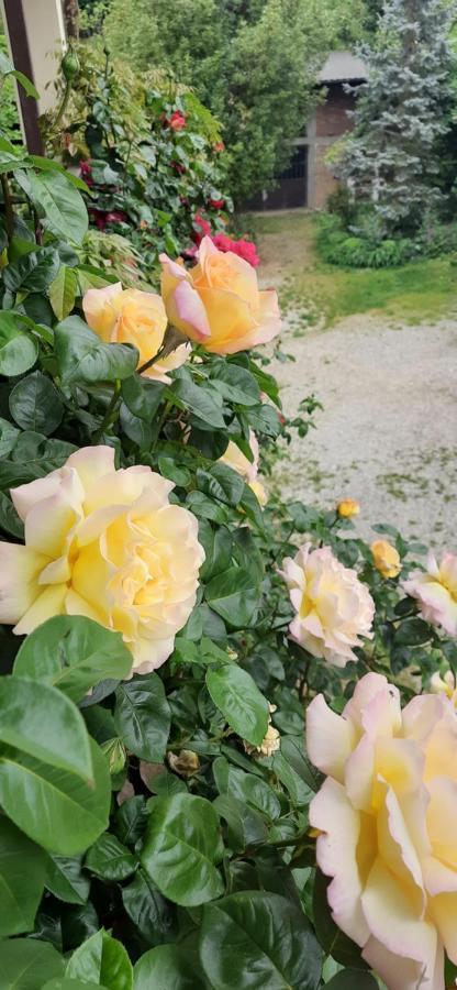 Il Giardino Del Gallo Cherasco Zewnętrze zdjęcie