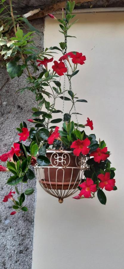 Il Giardino Del Gallo Cherasco Zewnętrze zdjęcie