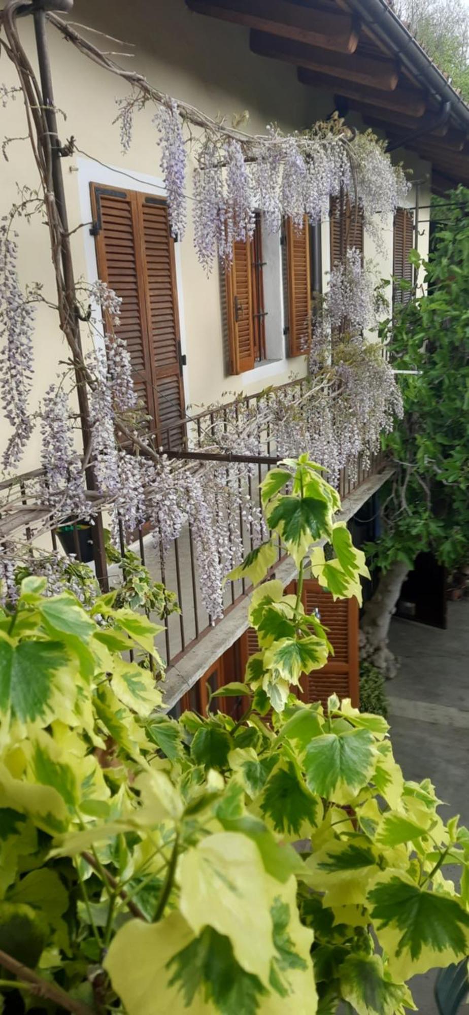Il Giardino Del Gallo Cherasco Zewnętrze zdjęcie