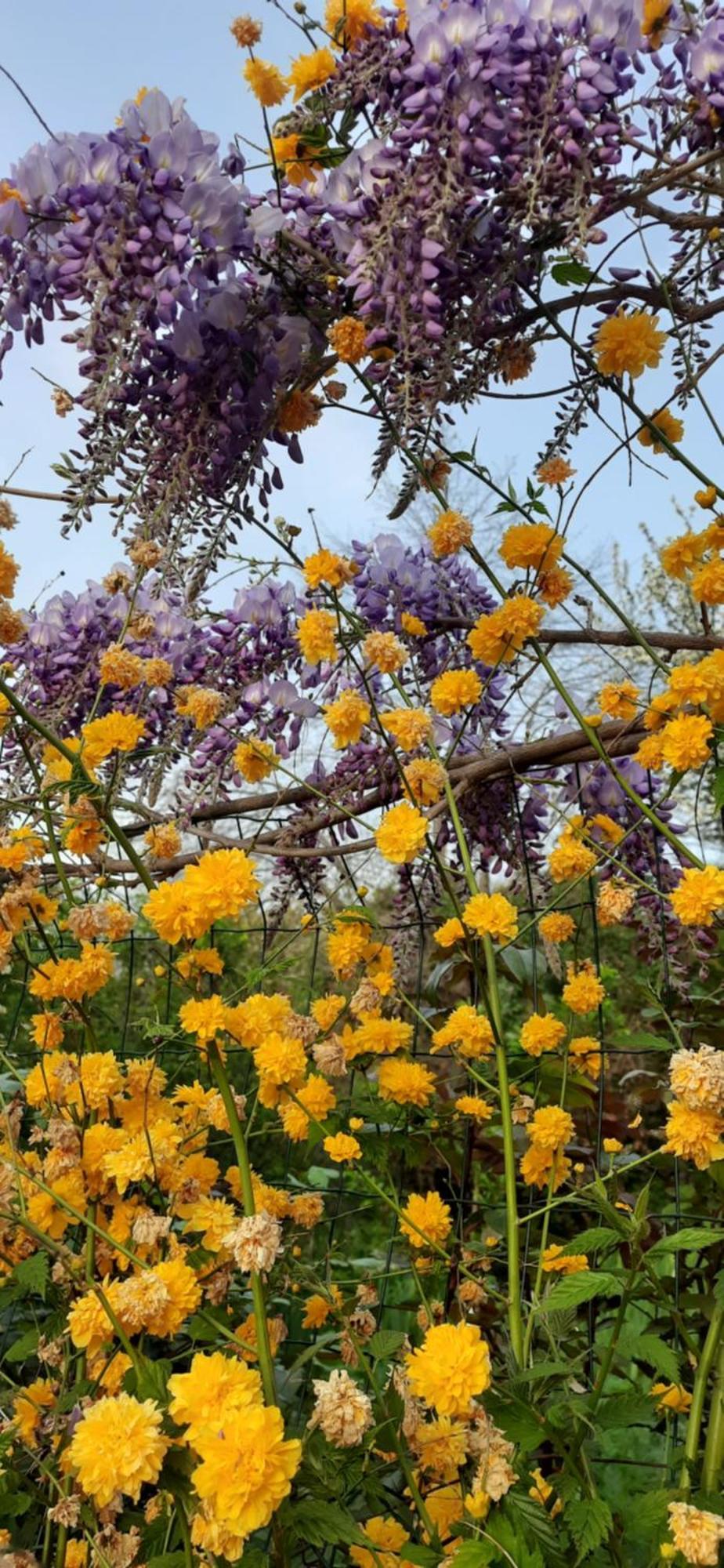 Il Giardino Del Gallo Cherasco Zewnętrze zdjęcie