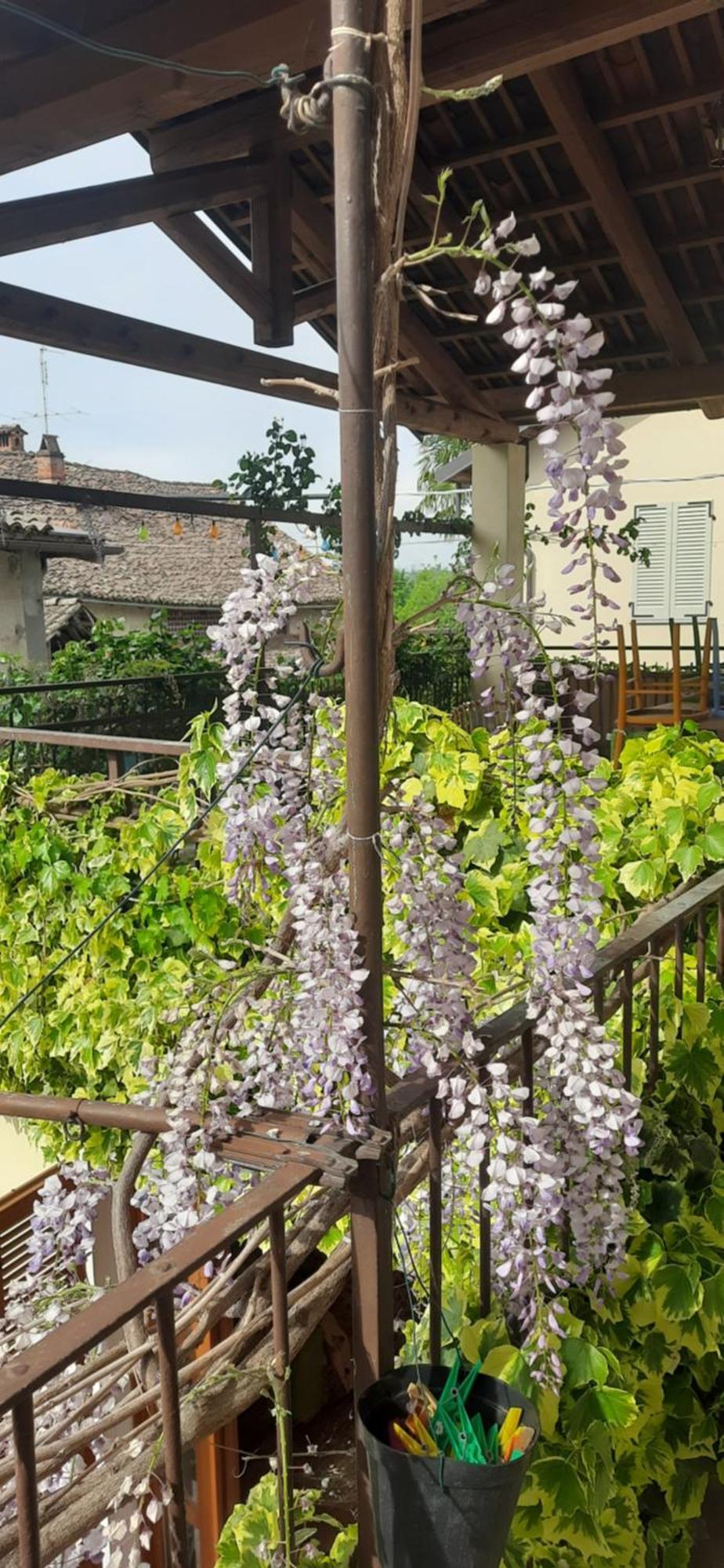 Il Giardino Del Gallo Cherasco Zewnętrze zdjęcie