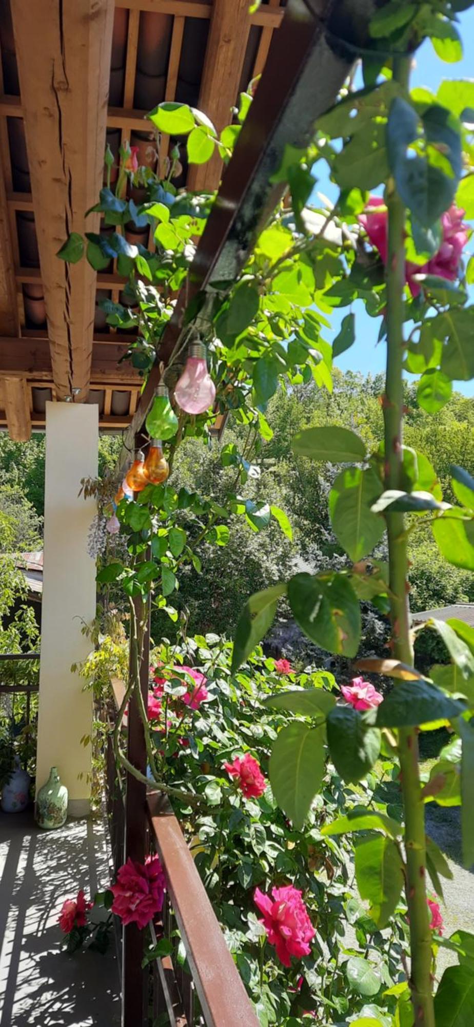 Il Giardino Del Gallo Cherasco Zewnętrze zdjęcie
