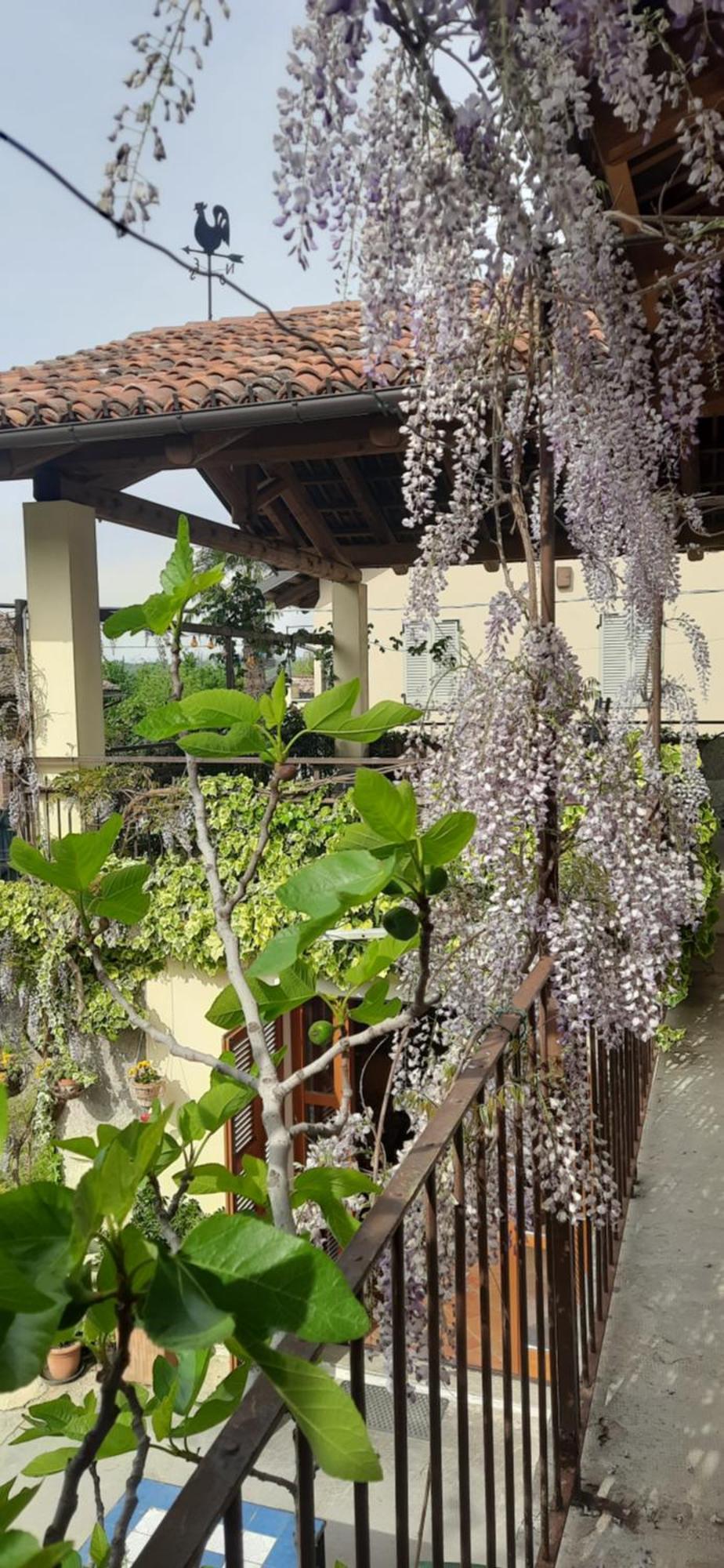 Il Giardino Del Gallo Cherasco Zewnętrze zdjęcie