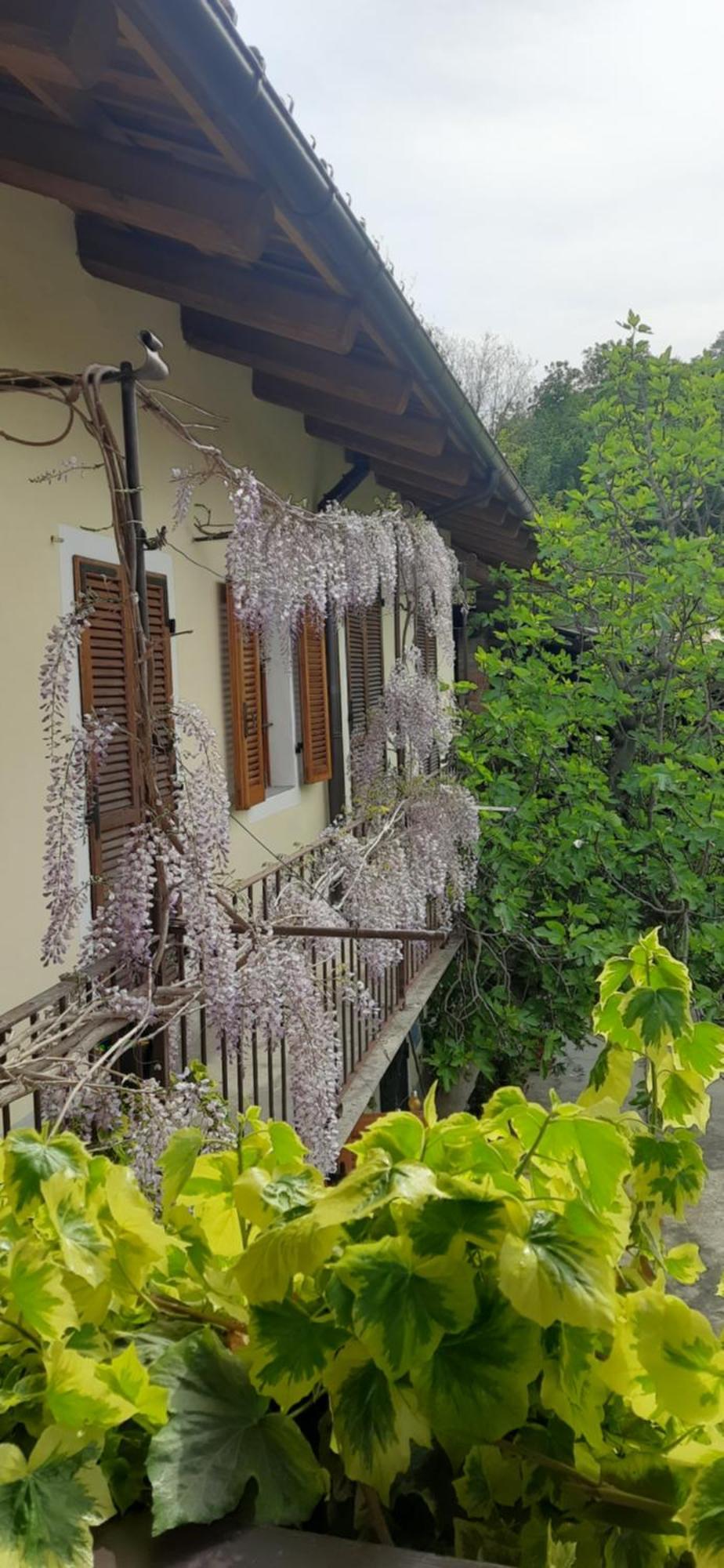 Il Giardino Del Gallo Cherasco Zewnętrze zdjęcie
