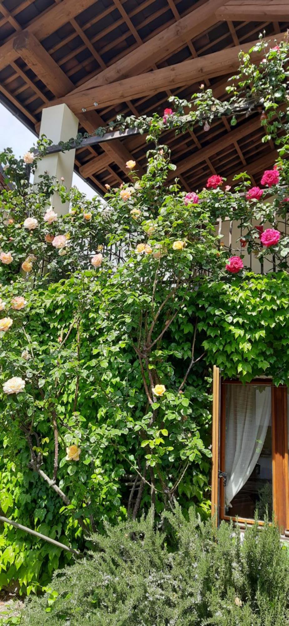 Il Giardino Del Gallo Cherasco Zewnętrze zdjęcie